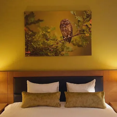 Azur En Ardenne Hotel 4*