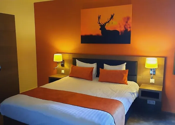 Azur En Ardenne 호텔 더뷔