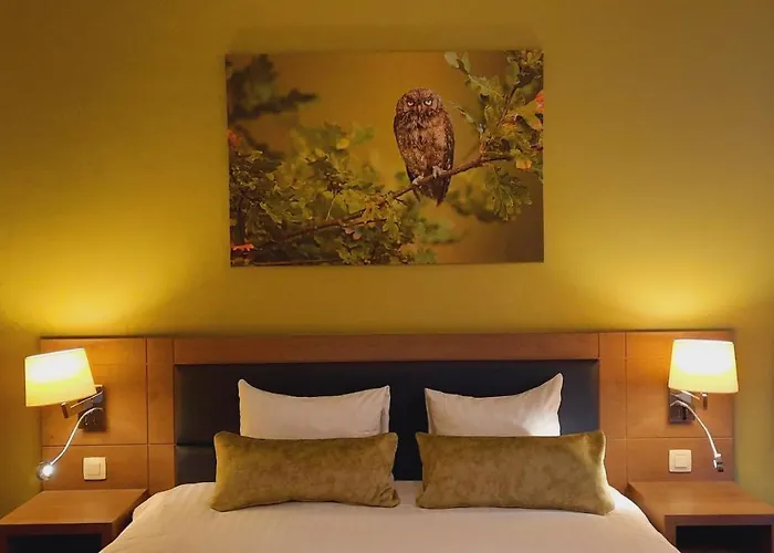 Azur En Ardenne 호텔 4*