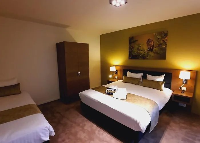 Azur En Ardenne 4* 더뷔