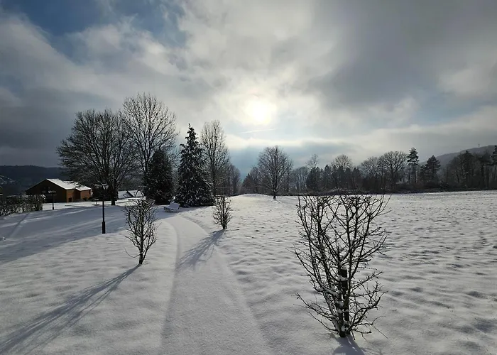 호텔 Azur En Ardenne 4*