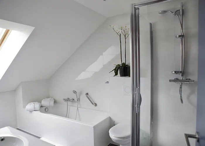 Azur En Ardenne 4* 더뷔