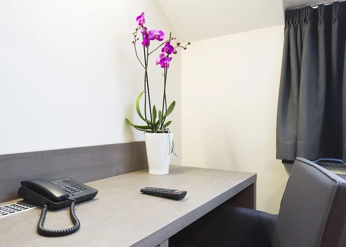 Azur En Ardenne 더뷔